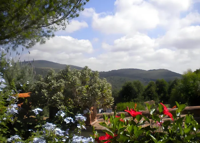 Sweet Tuscany