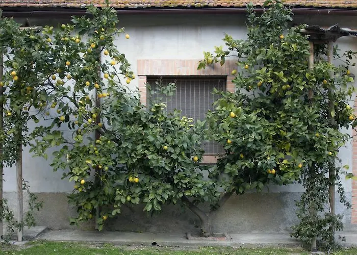 Agriturismo Monte Alzato